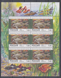 М/Л 427 Россия  1998 год. Аквариумные рыбки.