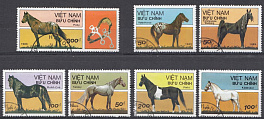 Фауна. Лошади. Вьетнам 1989 год.