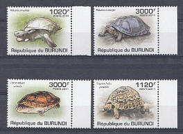 Черепахи. 2011 год. Республика Бурунди.