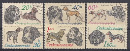 Собаки. Чехословакия 1973 год.