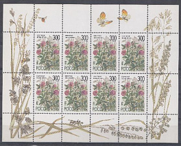218 ( МЛ)  Россия 1995 год. Флора. Полевые цветы России. Клевер луговой. 