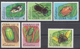 Жуки. Куба 1988 год.