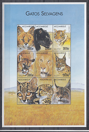 Семейство кошачьих. 1999 год. Мозамбик.
