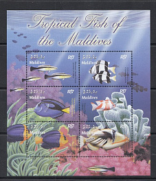 Морская фауна. Мальдивы 2003 год. Коралловые рыбки.