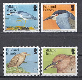 Птицы. Фолклендские острова 2006 год.