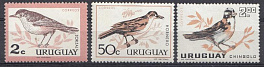 Птицы. Уругвай 1963 год.