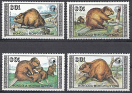 Фауна. Бобры. Монголия 1989 год.