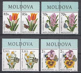Флора. Цветы. Молдова 2011 год.