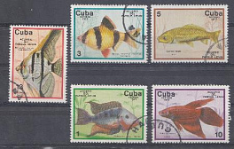 Рыбки. Куба 1977 год.