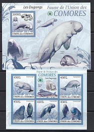 Морская фауна. Коморские острова 2009 год. Морские млекопитающееся.