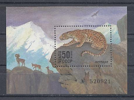 5594 Бл.№188 СССР 1985 год. Фауна. Горный пейзаж. Леопард. 