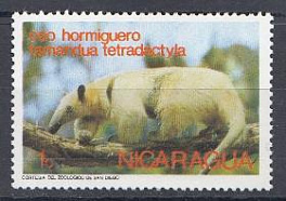 Фауна. Никарагуа . 